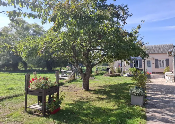 Le jardin : un grand arbre, une jardinière fleurie et la maison au fond